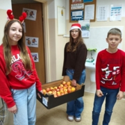 4564c98f-ece6-4405-b71b-8bbcd9c90cd3